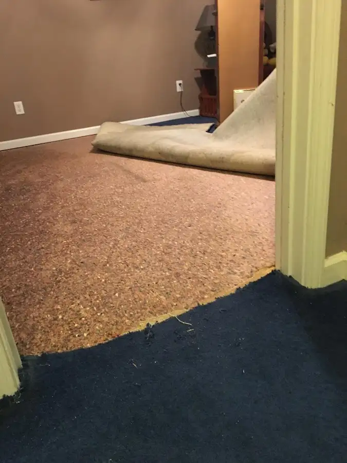 Carpet pad removal revealing water damage during Drying & Dehumidification in Bryant