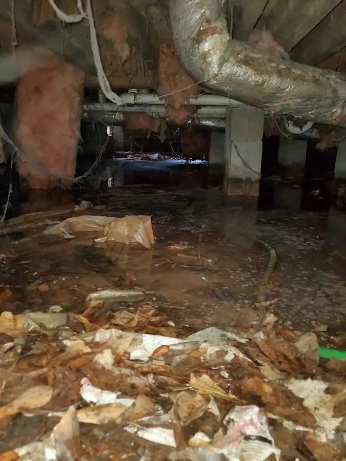 Crawl space flood assessment for Leak Detection & Repair in Bryant