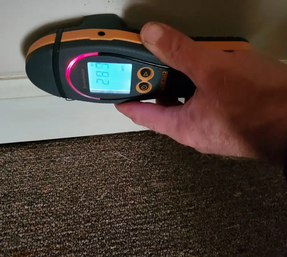 Moisture detection at baseboard during Sewage Cleanup & Sanitation in Bryant